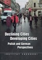 Declining Cities Developing Cities Polish and German Perspectives Bookshop