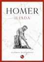 Iliada. Wydanie ilustrowane - Homer