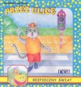 Przez ulicę Bezpieczny świat books in polish