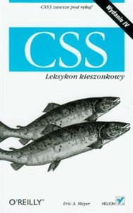 CSS Leksykon kieszonkowy polish usa