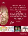 Atlas neuroanatomii i neurofizjologii Nettera - Maida M., O'Banion M., Felten D.L.