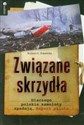 Związane skrzydła Dlaczego polskie samoloty spadają. Raport pilota - Robert Zawada  