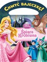 Disney Księżniczka Śpiąca Królewna Chwyć bajeczkę! buy polish books in Usa