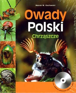 Owady Polski Chrząszcze polish books in canada