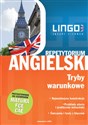 AngielskiRepetytorium Tryby warunkowe to buy in Canada