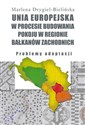 Unia Europejska w procesie budowania pokoju w regionie Bałkanów Zachodnich Problemy adaptacji polish books in canada