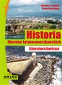 Historia literatur latynoamerykańskich Literatura boricua books in polish