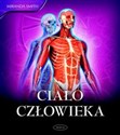 Ciało człowieka - Polish Bookstore USA