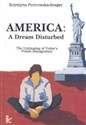 America A Dream Disturbed - Krystyna Piotrowska-Breger  