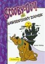 Scooby-Doo! I nawiedzony zamek online polish bookstore