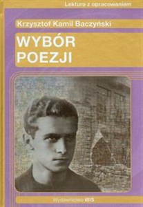 Wybór poezji Lektura z opracowaniem Polish bookstore