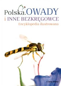 Polska Owady i inne bezkręgowce Encyklopedia ilustrowana Bookshop