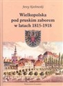 Wielkopolska pod pruskim zaborem w latach 1815 - 1918 - Jerzy Kozłowski