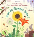 First Questions and Answers: How do flowers grow? to buy in USA