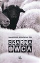 Czarna owca bookstore