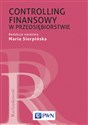 Controlling finansowy w przedsiębiorstwie - Maria Sierpińska, Agata Sierpińska-Sawicz, Ryszard Węgrzyn