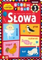 Uczę się pisać Słowa Poziom 3 Polish bookstore