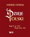 Dzieje Polski Tom 1 Skąd nasz ród - Andrzej Nowak books in polish
