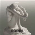 Rodin polish usa