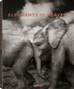 Elephants in Heaven  - Joachim Schmeisser