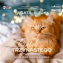 [Audiobook] Piątek trzynastego - Agata Bizuk