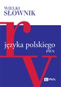 Wielki słownik języka polskiego Tom 4 R-V online polish bookstore