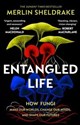 Entangled Life  - Merlin Sheldrake pl online bookstore