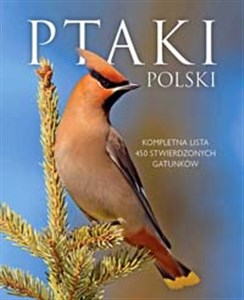 Ptaki Polski  