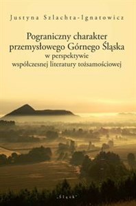 Pograniczny charakter przemysłowego Górnego Śląska w perspektywie współczesnej literatury tożsamościowej books in polish