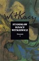 Dramaty Tom 1 - Stanisław Ignacy Witkiewicz