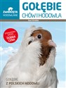 Gołębie Chów i hodowla - Ewa Strzelec