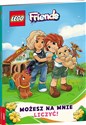 LEGO Friends. Możesz na mnie liczyć!  polish usa