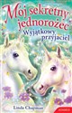 Mój sekretny jednorożec Wyjątkowy przyjaciel buy polish books in Usa