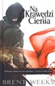 Na Krawędzi Cienia Trylogia Nocnego Anioła tom 2 Canada Bookstore