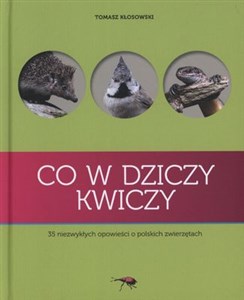 Co w dziczy kwiczy 35 niezwykłych opowieści o polskich zwierzętach 