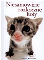 Niesamowicie rozkoszne koty in polish