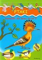 Ptaki Malowanki dla dzieci od lat 2  polish books in canada