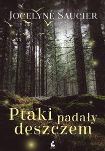 Ptaki padały deszczem online polish bookstore