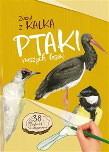 Ptaki naszych lasów Zeszyt z kalką Bookshop