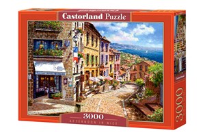 Puzzle Afternoon in Nice 3000  Polish Books Canada