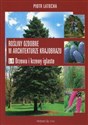 Rośliny ozdobne w architekturze krajobrazu Część III Drzewa i krzewy iglaste chicago polish bookstore