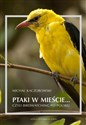 Ptaki w mieście czyli birdwatching po polsku buy polish books in Usa