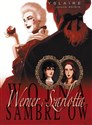 Wojna Sambre’ów Werner i Szarlotta Plansze Europy - Bernar Yslaire Polish Books Canada