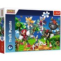 Puzzle Sonic i przyjaciele 160 - 
