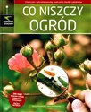 Co niszczy ogród  