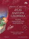 Atlas anatomii człowieka Polskie mianownictwo anatomiczne - Frank H. Netter  