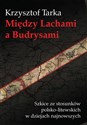 Między Lachami a Budrysami Szkice ze stosunków polsko-litewskich w dziejach najnowszych polish usa