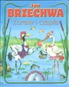 Żuraw i czapla Teraz czytam sam online polish bookstore