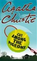 Cat Among the Pigeons polish books in canada