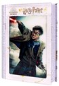 Harry Potter: Magiczne puzzle - Księga - Pojedynek Harry'ego 300  Canada Bookstore
